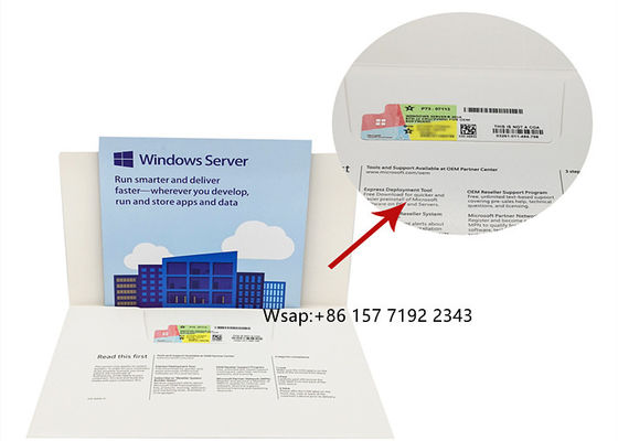 OEM DVD 64 Bits Windows Server 2019 Standard License